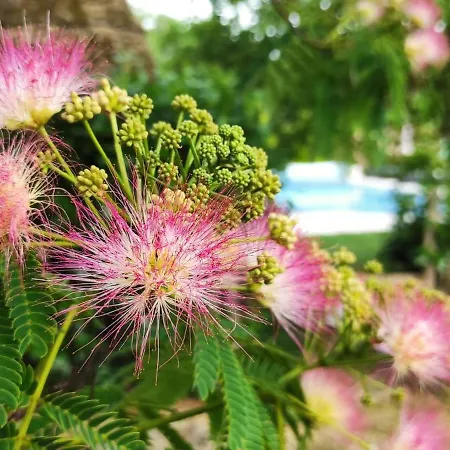 La Borie Du Cambord - Et D'hotes Prázdninový dům Sarlat-la-Canéda
